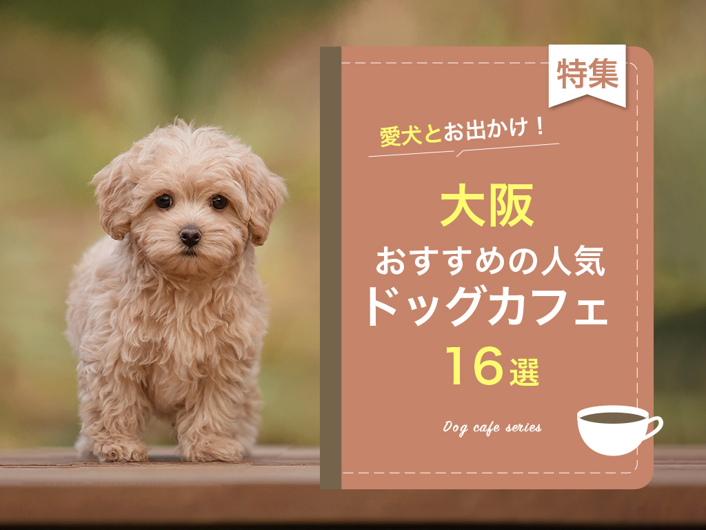 【大阪】愛犬同伴！おすすめの人気ドッグカフェ16選